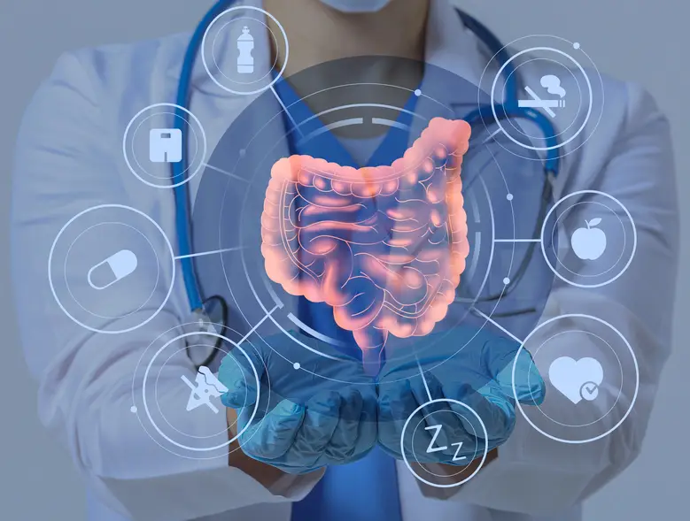 רקע תמונה עליונה דף הבית ( תחתונה )