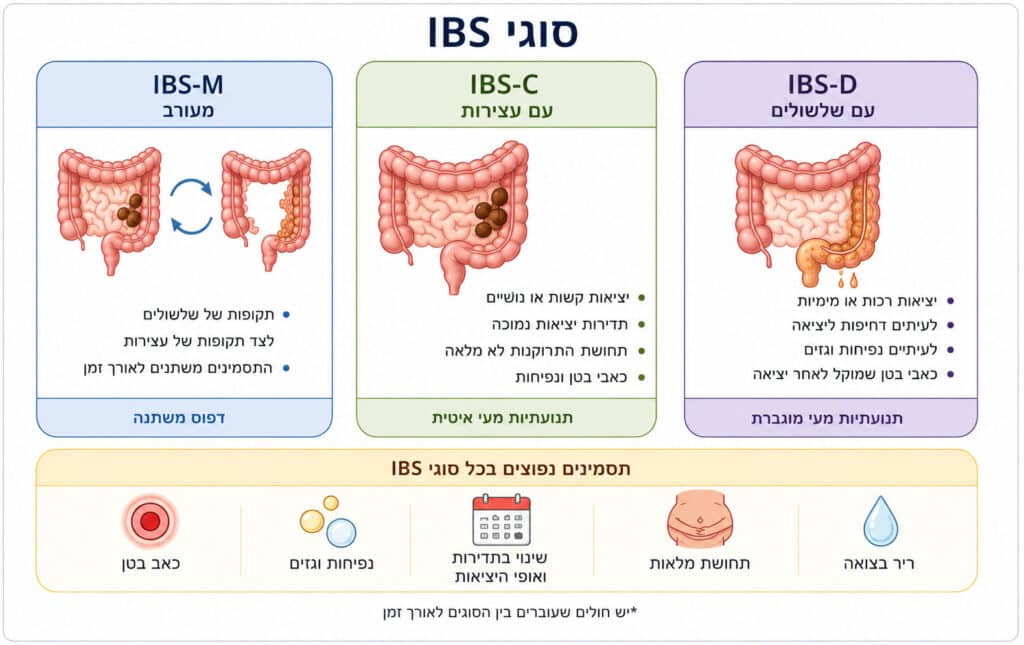 המחשת סוגים של מעי רגיז והתסמינים האופייניים לכל סוג
